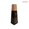 Vibrance Renewal Duo – Shampoo and Conditioner with Forestalling Action (20% OFF)